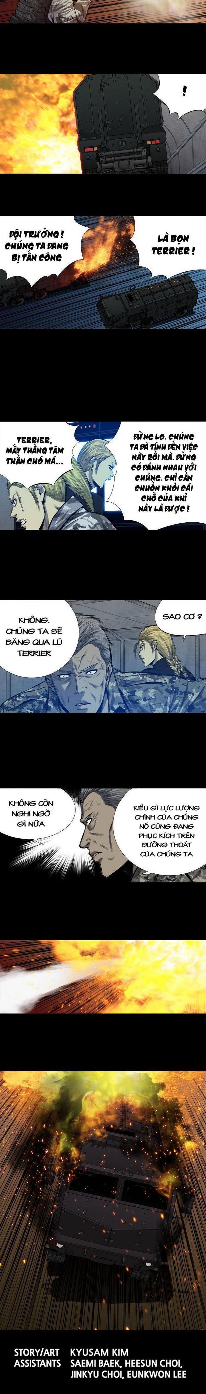 Đọc truyện Hive - Thảm họa ong độc - Chap 203